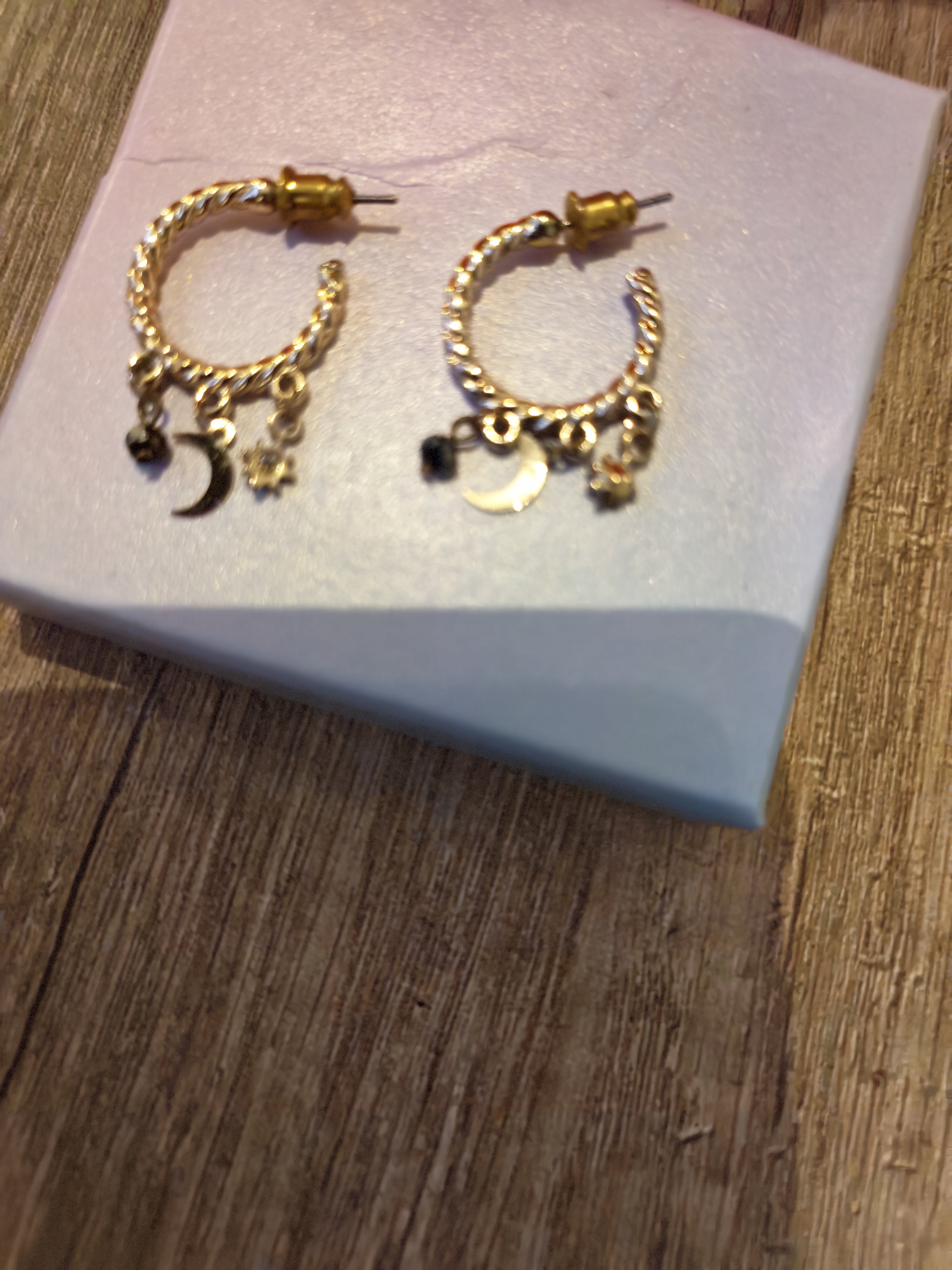 Paire de boucles d'oreilles